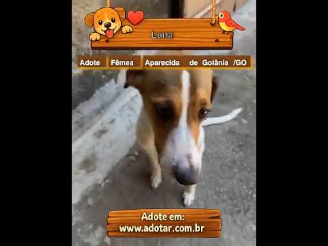 Vídeo de Luna