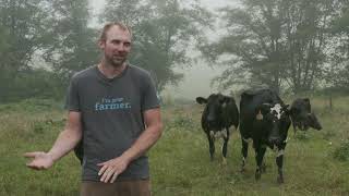 Inside an Advanced Organic Dairy Farm: Robotic Milking & AI Collars! 🐄🤖 at the Burkhalter Dairy Farm