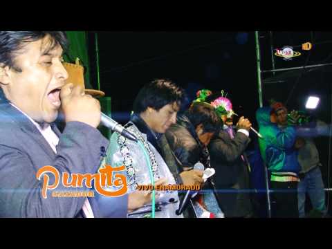 Vivo Enamorado - Pumita Cazador