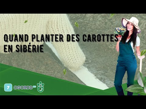 , title : 'Quand planter des carottes en Sibérie'