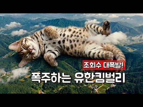 조회수 대폭발! 폭주하는 유한킴벌리