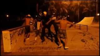 preview picture of video 'Harlem Shake Na Lagoa ( GUARARAPES ) Em 3D (NOVO)'