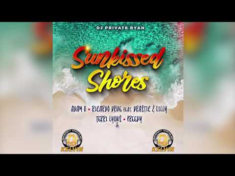 Sunkissed Shores Riddim Mix | Ricardo Drue, Terri Lyons, Preedy, Adam O