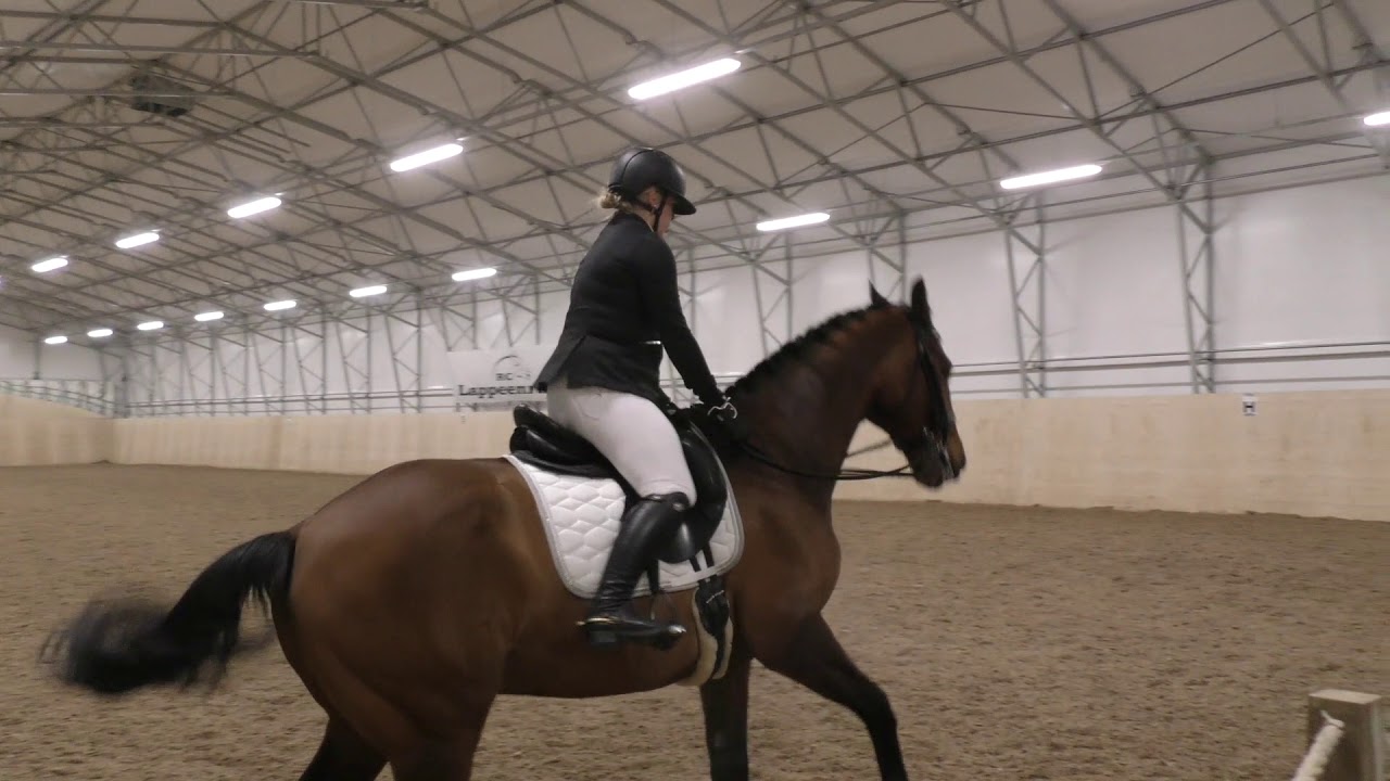 Kaakinen Elvi & Quattro - Helppo A:4 @ EKR - Lappeenranta 31.3.2018