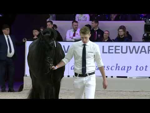 HK 2026 – Event 4 – Inspection of the registered Studbook Stallions approved from breeding season 2020, 2021 and 2022 – Spanish