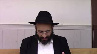 איך נקיים את מצות משלוח מנות בהידור (הרב אלחנן משה נחמנסון) - התמונה מוצגת ישירות מתוך אתר האינטרנט יוטיוב. זכויות היוצרים בתמונה שייכות ליוצרה. קישור קרדיט למקור התוכן נמצא בתוך דף הסרטון
