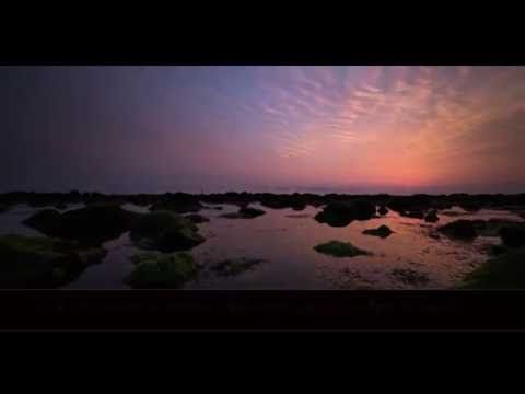 Adil Rejan Surja Nr.73 (Muzemil) me përkthim shqip