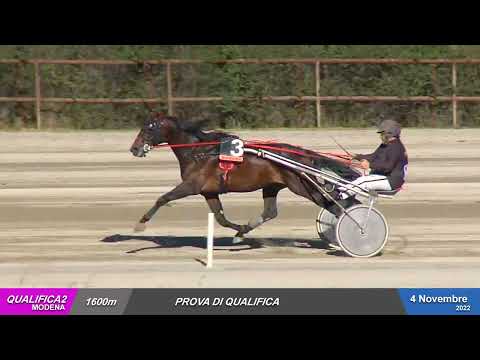 Ippodromo Ghirlandina - 04/11/2022 - Qualifica 2
