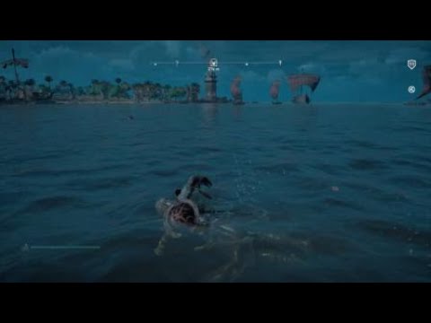 Near Death Experience