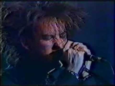 Thumbnail for The Cure  1984 RARITAS !! Boris Williams Debut!  Minneapolis by Boris Williams