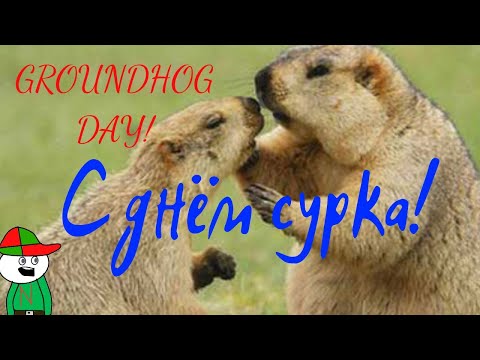 С днем сурка!\\Groundhog Day!