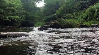 &quot;Heart&quot; - Sleeping At Last (Micro Music Video)