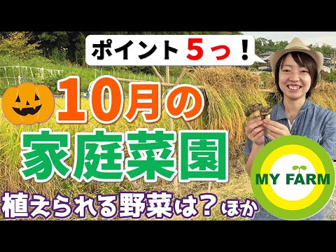 10月に菜園に何を播くか