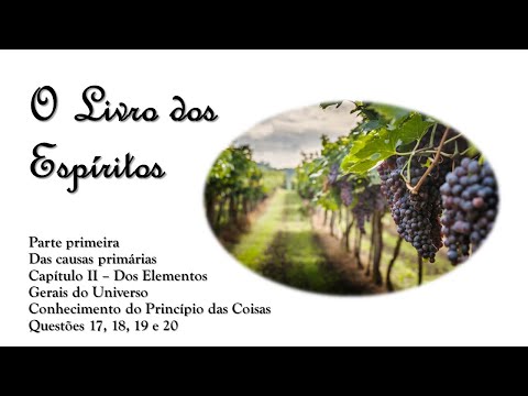 #31 - Livro dos Espíritos - Parte I - Questões 17, 18, 19 e 20