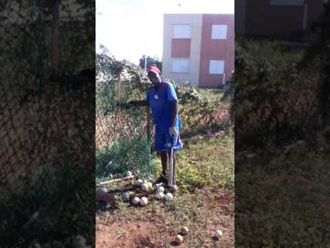 El peloterito de altagracia