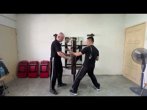 ‘WSL Ving Tsun Kuen Hok’ - breaking it down #88 - the Concepts of the ‘Cham Kiu’ form (Pt.14)