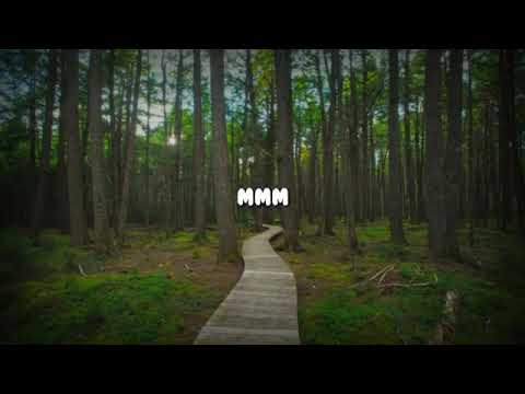 Marmar Oso X Yelly - Feel The Same (lyrics)