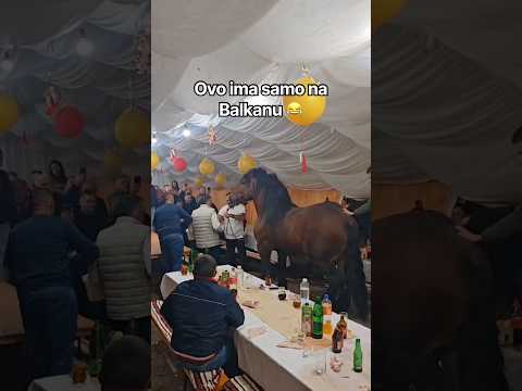 Doveli konja pod šator na veselju 😂 #shorts #balkan #comedy