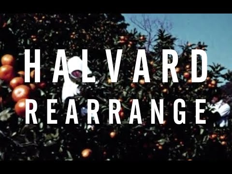 Halvard - Rearrange (Official Video)