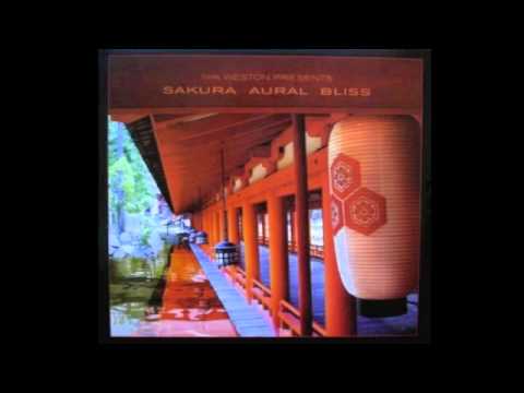 Grooveman Spot - Voyage The Sky (Grooveman Spot Remix)