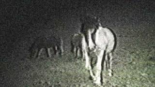 Video thumbnail image