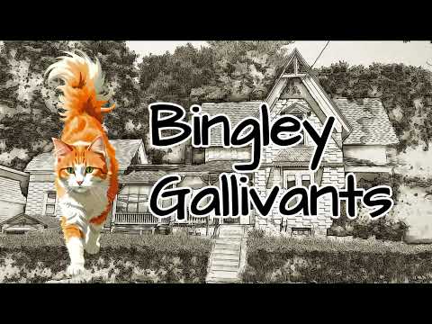 Bingley Gallivants Trailer