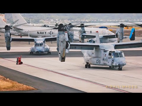 Mass Marine Aerial Movement