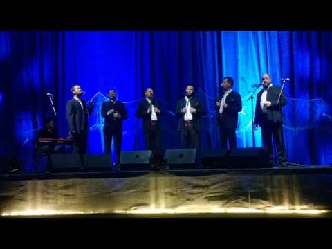Klapa Šufit  Dalmatinska pismo moja  Cerknica 20 05 2017