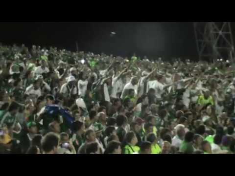 DA-LHE PORCO DA-LHE PORCO - MANCHA VERDE