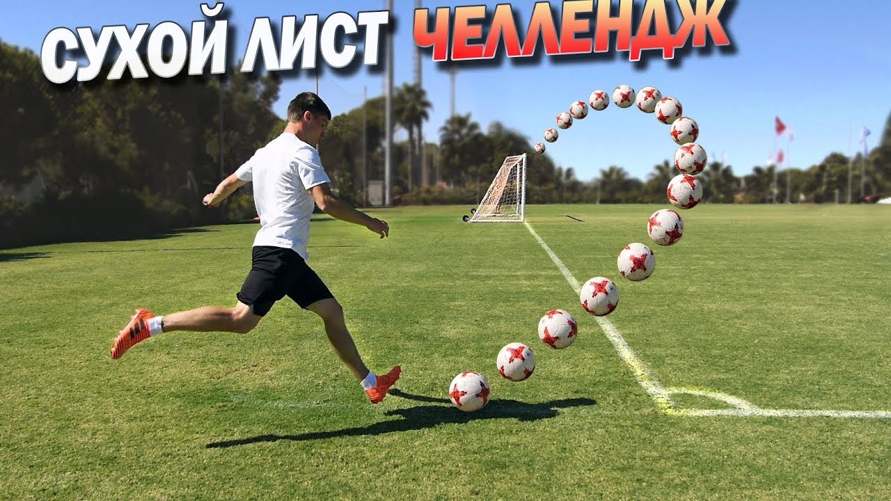 СУХОЙ ЛИСТ. Челлендж vs ПРОФИ