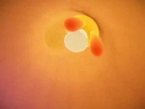 titou les gros mots des tout petits