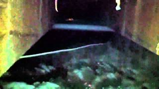 Crawlspace Air Flow