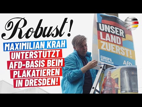 Robust: Maximilian Krah unterstützt AfD-Basis beim Plakatieren in Dresden!