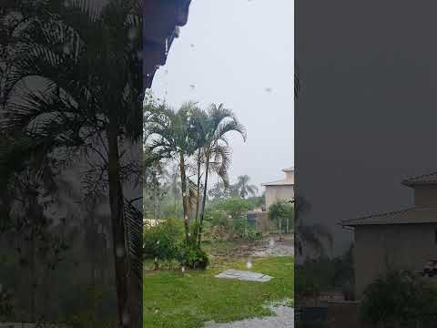 Chuva no Sertão. Moeda MG.