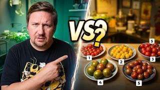 I Grew 5 Micro Dwarf Tomatoes - Here's What I Found