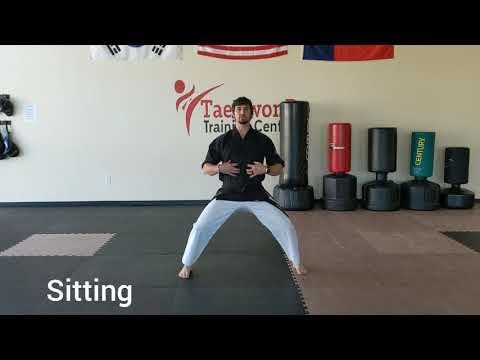 6 Basic Taekwondo Stances