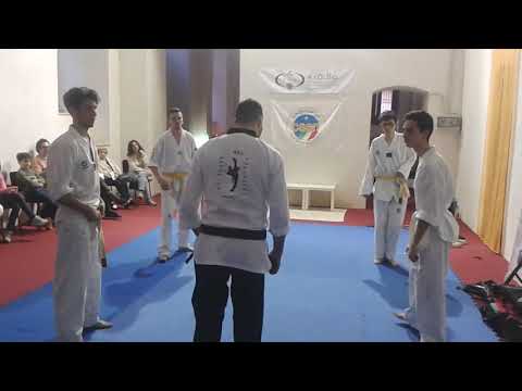 A.I.DI.Bio.  Bari Benessere a San Nicola 2015   Pratica di TAEKWONDO