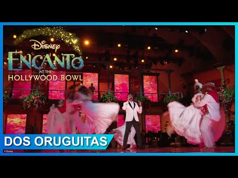 Dos Oruguitas, Andrés Cepeda - Live @andrescepedaoficial