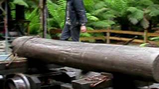 preview picture of video 'Twitching down a log on a pair of log bogies'
