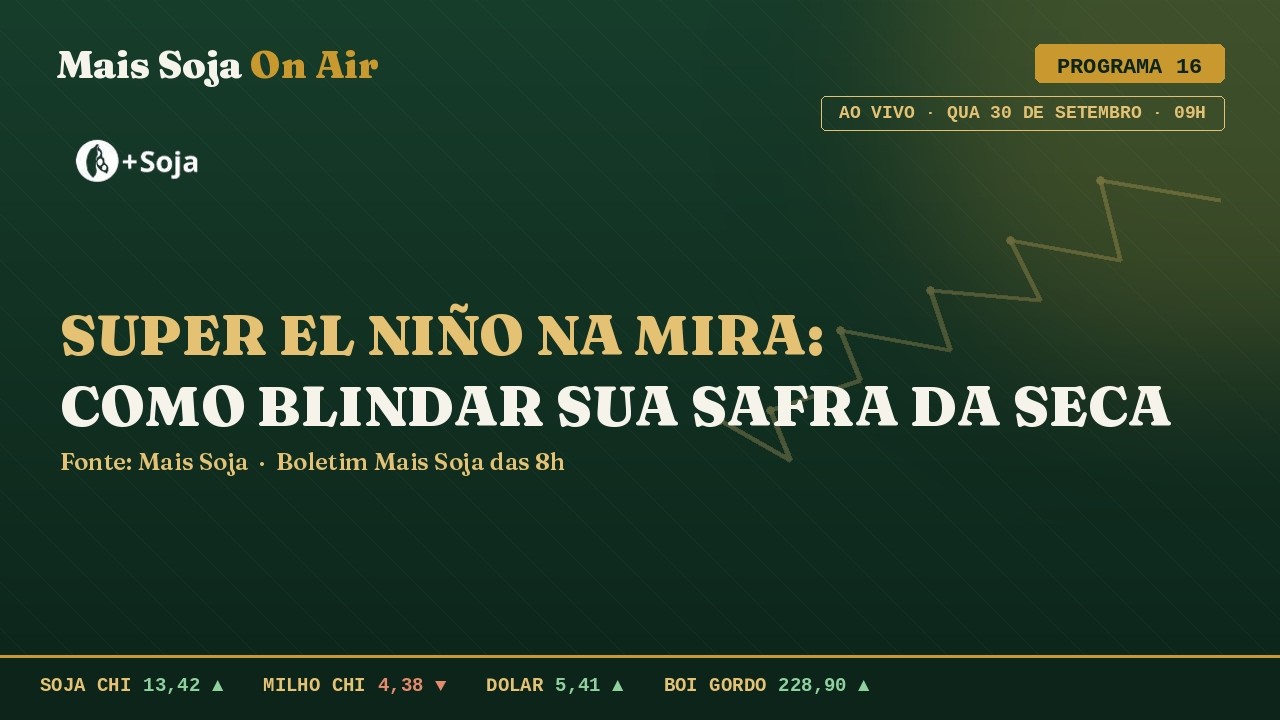 Trigo em Alerta | El Ñino preocupa o produtor | Mais Soja On Air