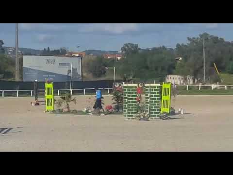 Carat del Colle Diamant de Semilly x Cassini