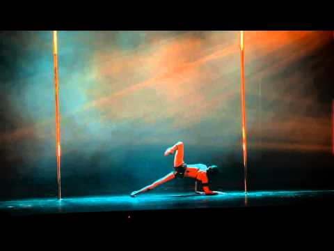 Applicant for POLE ART 2013 - Natasha Wang, USA