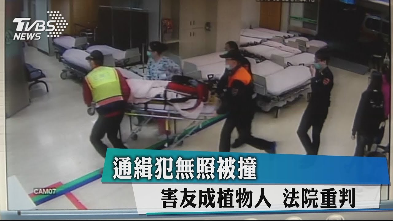 通緝犯無照被撞害友成植物人 法院重判