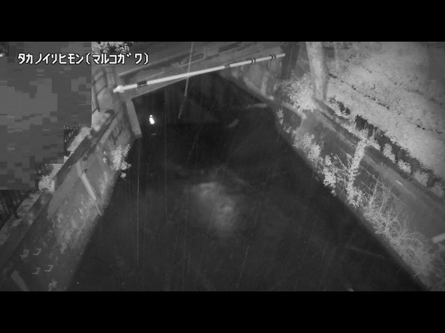 鷹の圦樋門映像監視局