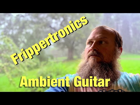 Do you Frippertronics | iOS Ambient Pedalboard #ambient #guitar #iPad