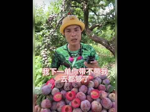 可以月供吗😂 #看一遍笑一遍 #欢仔表哥 #爆笑 #搞笑