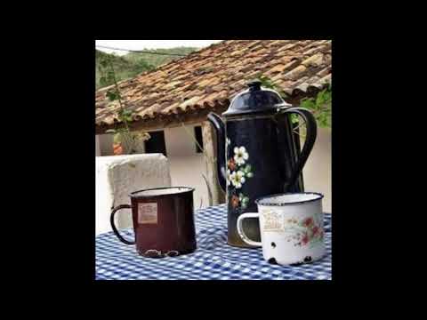 Programa: Caminho da Roça - 24/02/26 - Parte 1 - Apresentação: Paulinho