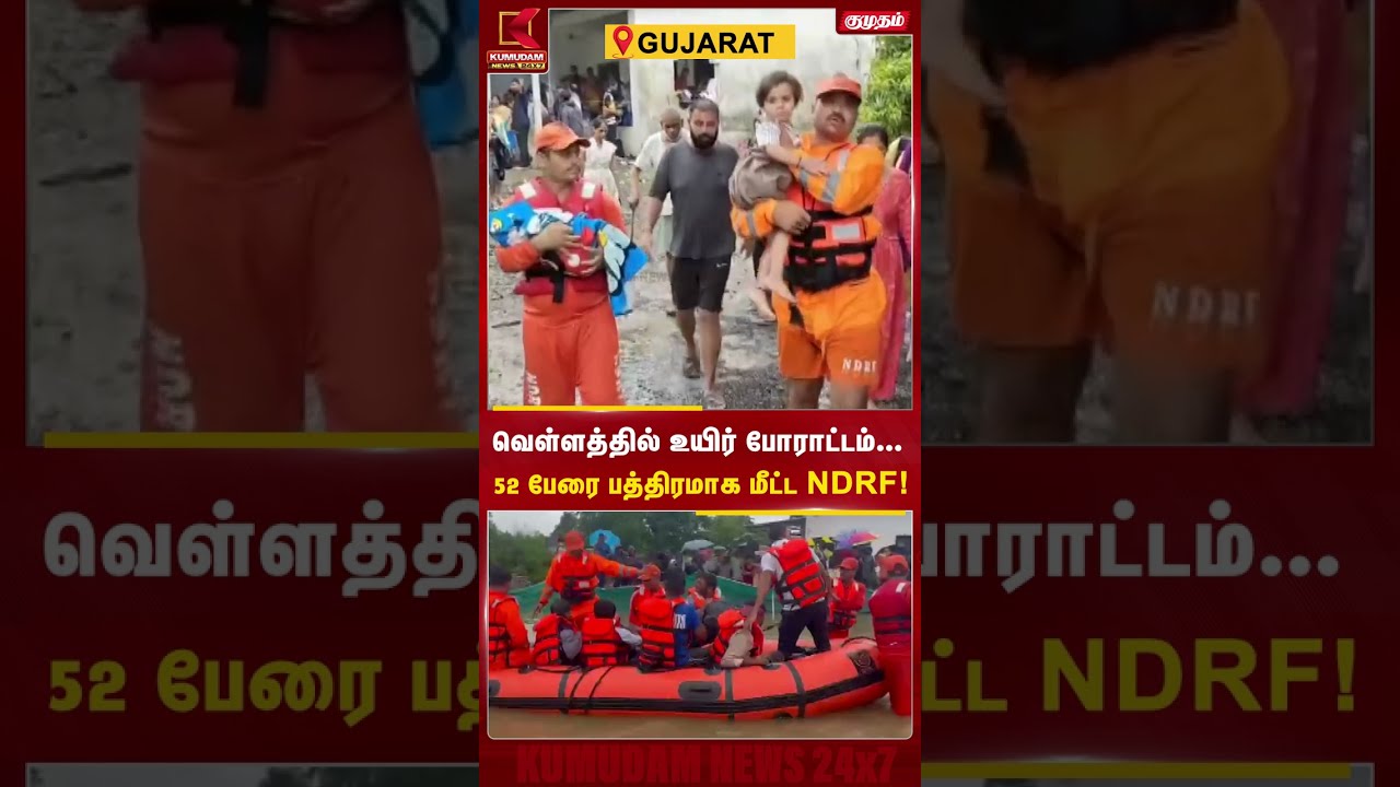 வெள்ளத்தில் உயிர் போராட்டம்... 52 பேரை பத்திரமாக மீட்ட NDRF! | Gujarat Flood | NDRF Rescue | #shorts