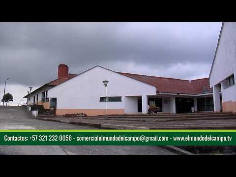 GRANJA EXPERIMENTAL BENGALA UNIVERSIDAD DEL QUINDÍO   FILANDIA – QUINDÍO