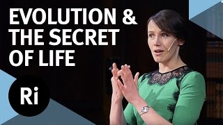 Copy number variation and the secret of life - with Aoife McLysaght
